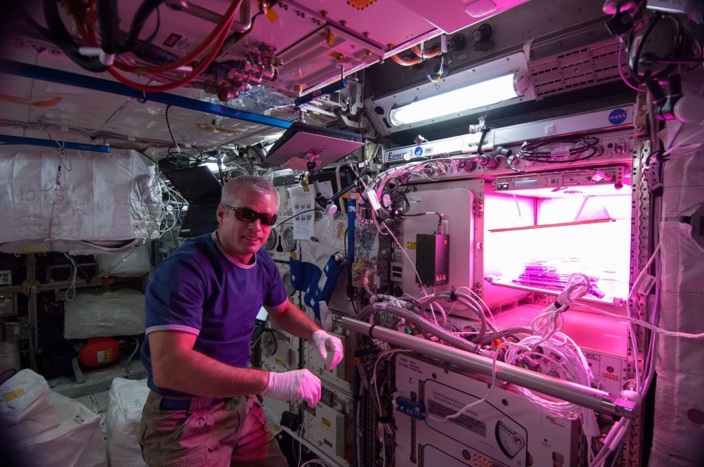 The Veggie in International Space Station
