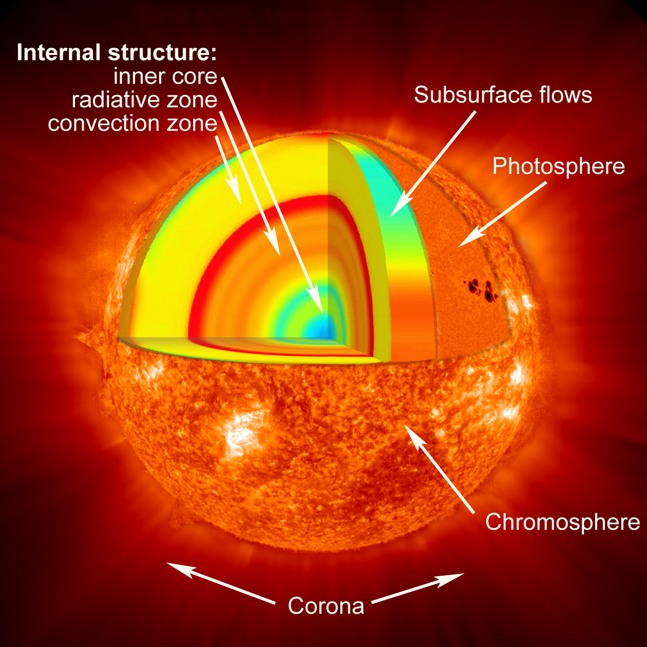 Cross section of the Sun